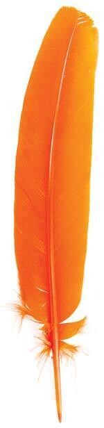 Orange Feather 12&quot;