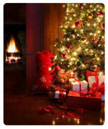 ​Christmas Sampler Set