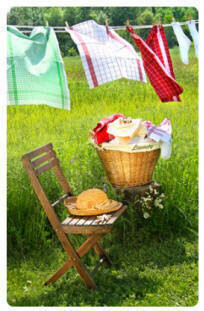 Fresh & Clean Sampler Set