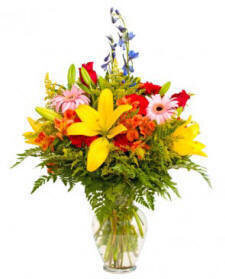 Floral Sampler Set