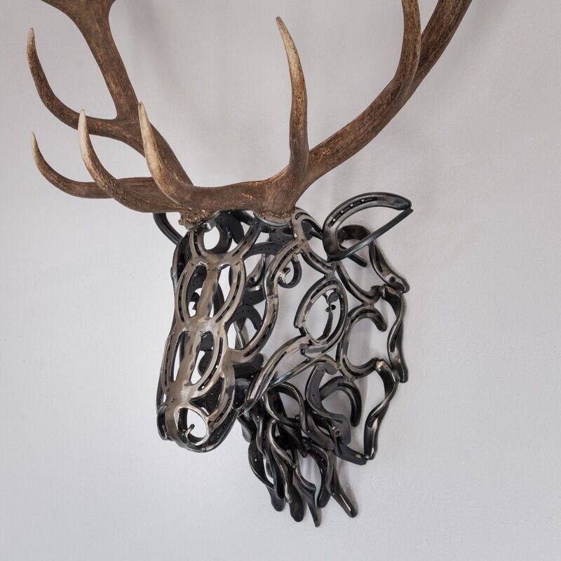 Stag head from horseshoe excl. antlers
