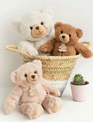 La Famille des Ours