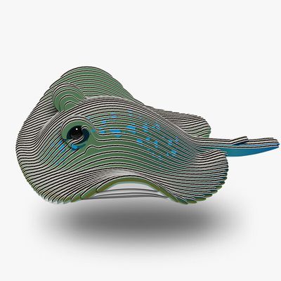 Eugy 3D - Raie