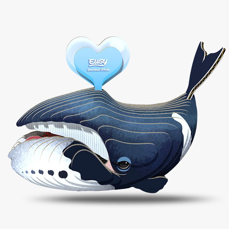Eugy 3D - Baleine boréale