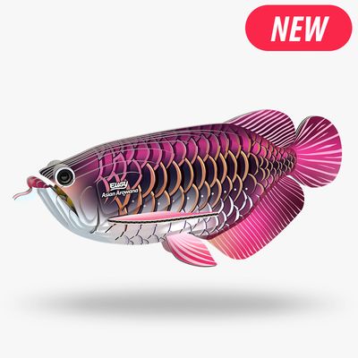 Eugy 3D - Poisson dragon
