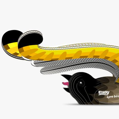 Eugy 3D - Oiseau Lyre