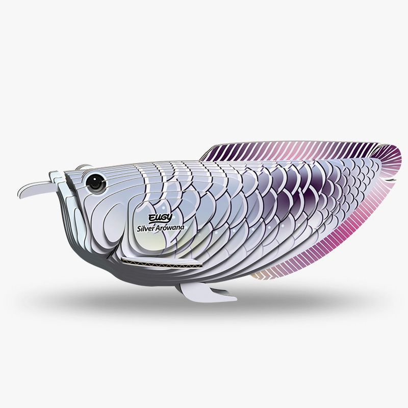 Eugy 3D - Arowana argenté