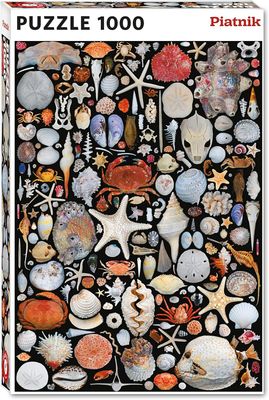 Puzzle 1000 pièces - Coquilles