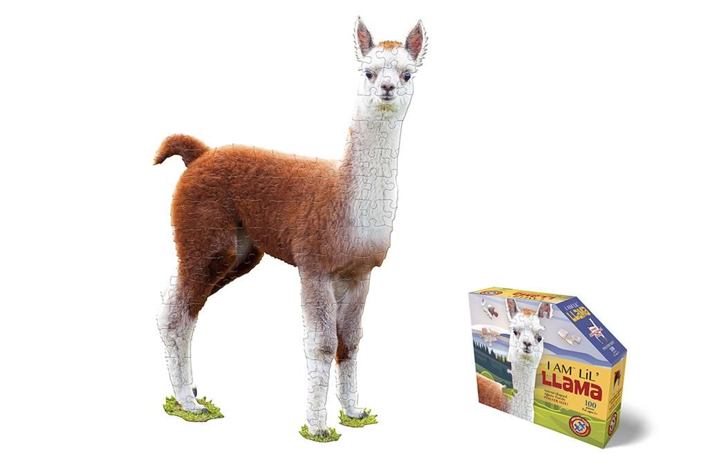 Puzzle I Am Lil' - Lama 100 pièces