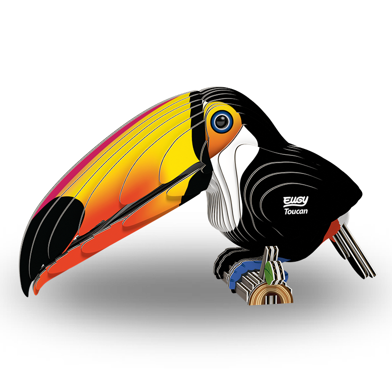 Eugy 3D - Toucan