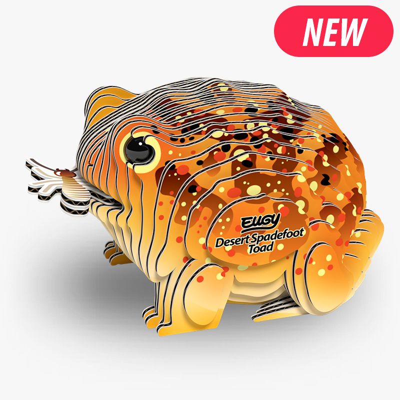 Eugy 3D - Crapaud du désert