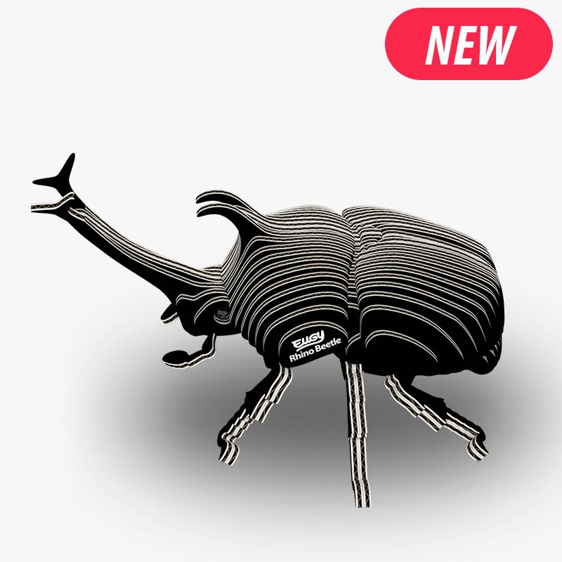 Eugy 3D - Scarabée Rhinocéros