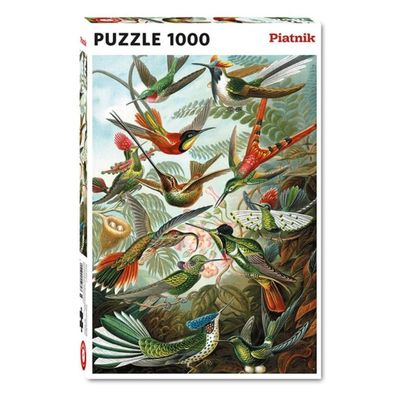 Puzzle 1000 pièces - Haeckel - Colibris