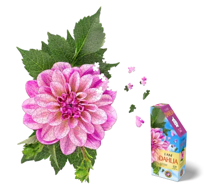 Puzzle I Am - Dahlia 350 pièces