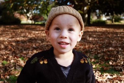 Acorn Cardigan