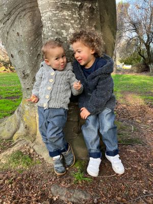 Children&#39;s Winter Knits 24&#39;