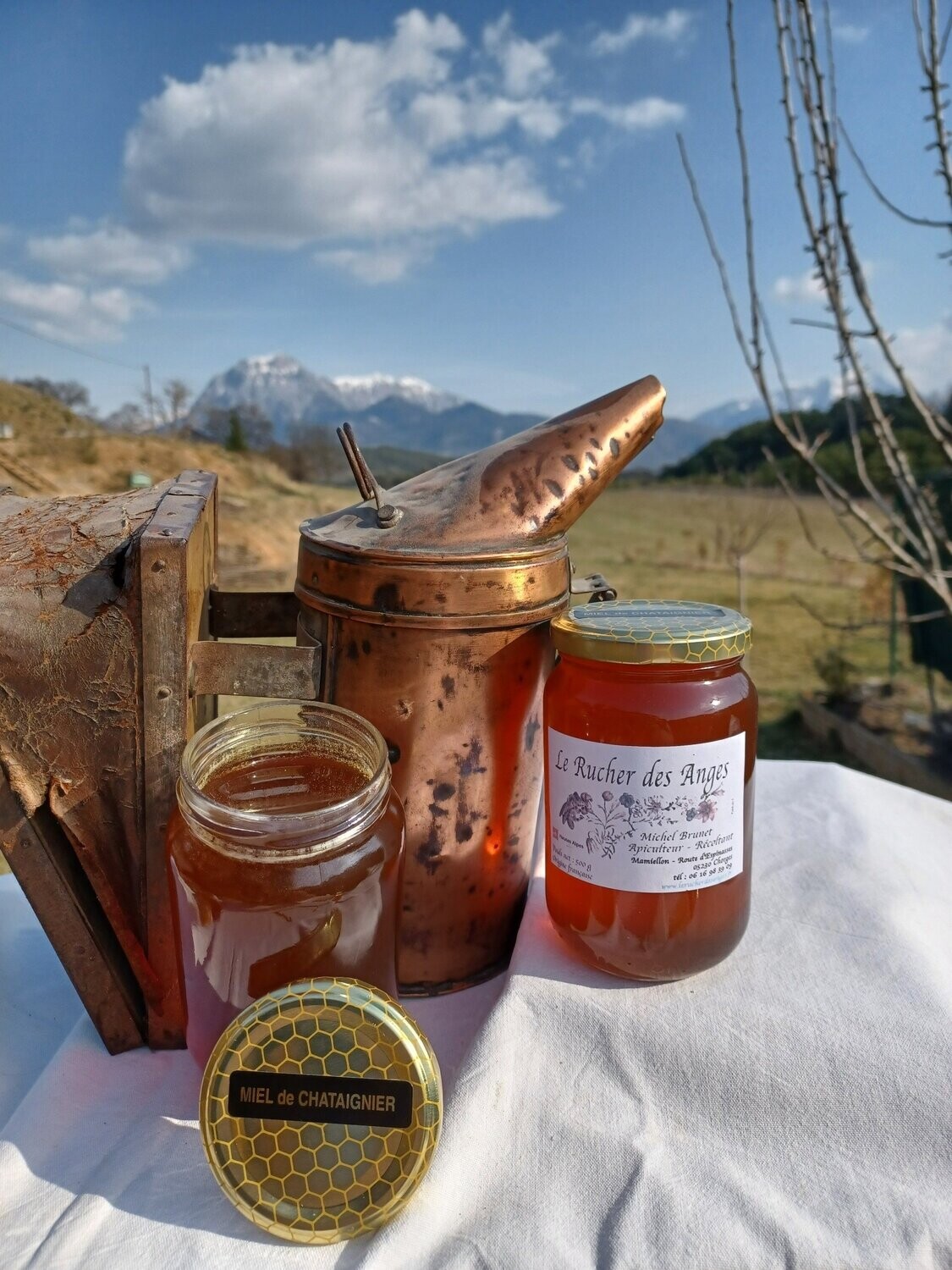 Miel de châtaignier