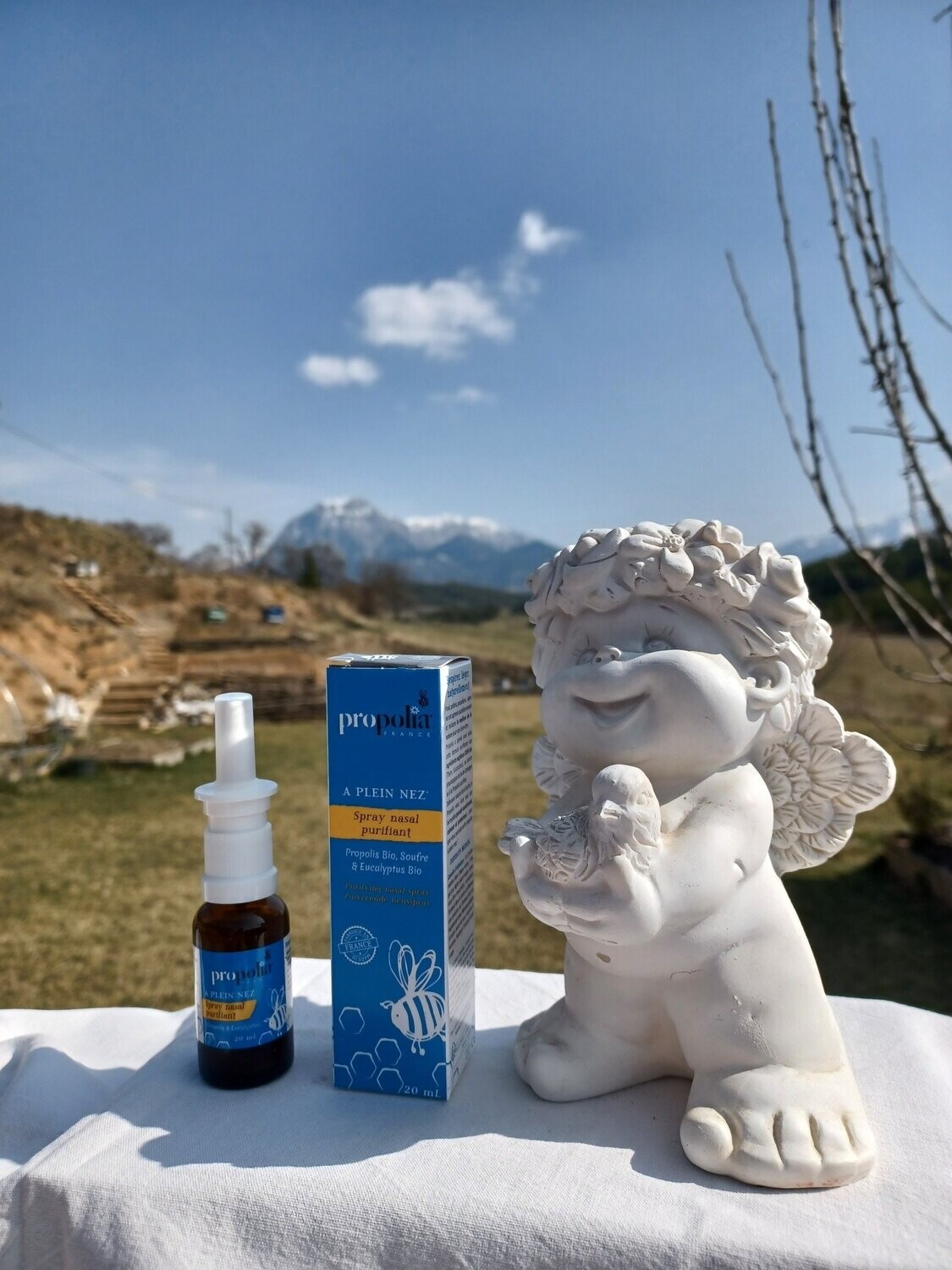 Spray nasal