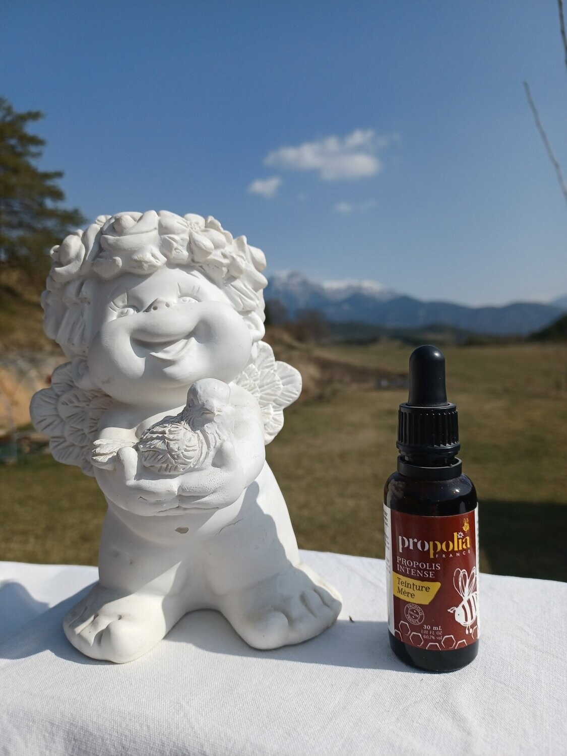 Teinture mère de propolis