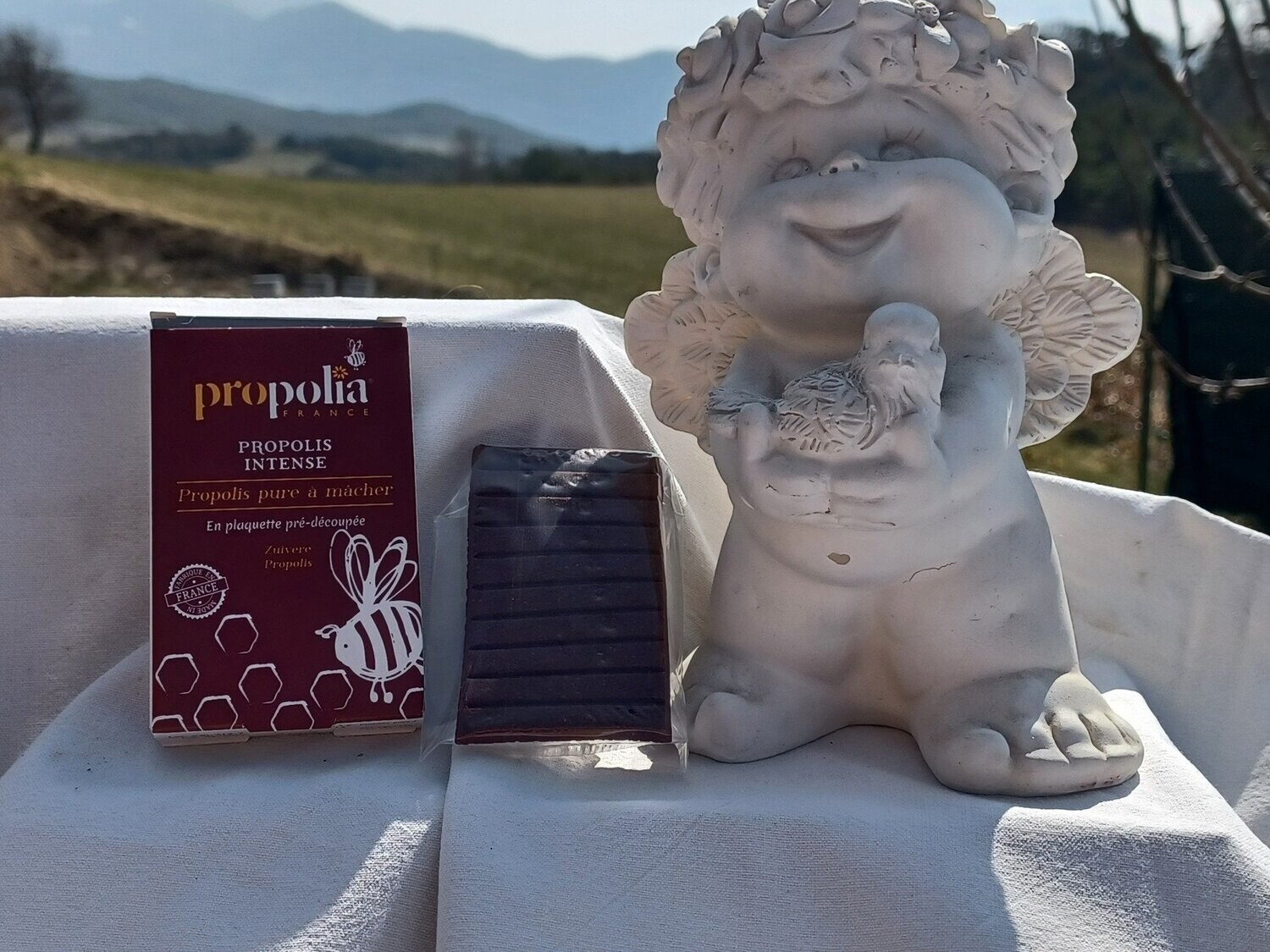 Propolis pure