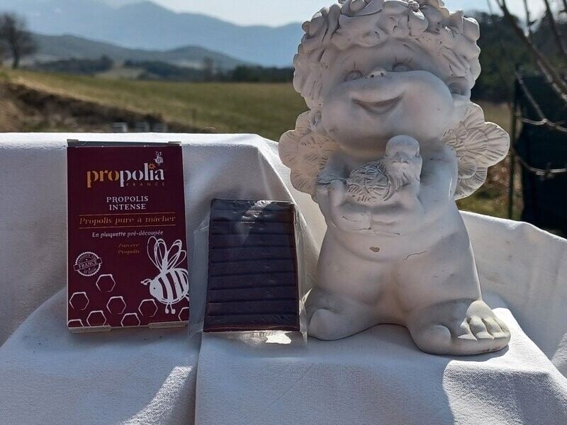 Propolis pure