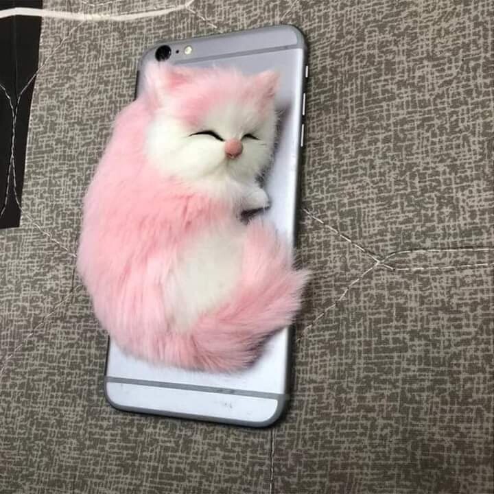 Cute fluffy kitty cat pop sockets