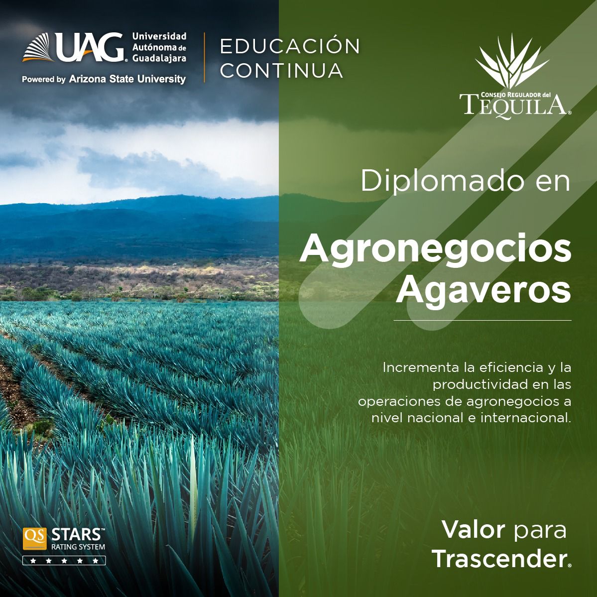 Diplomado en Agronegocios Agaveros
