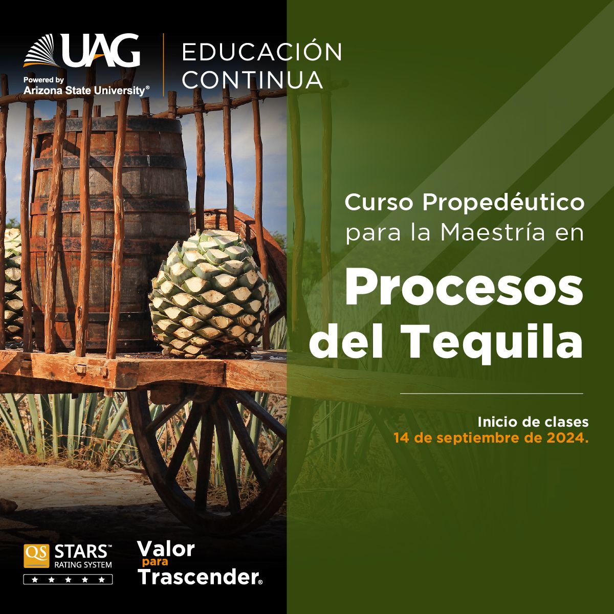 Curso Propedéutico para la Maestría en Procesos del Tequila
