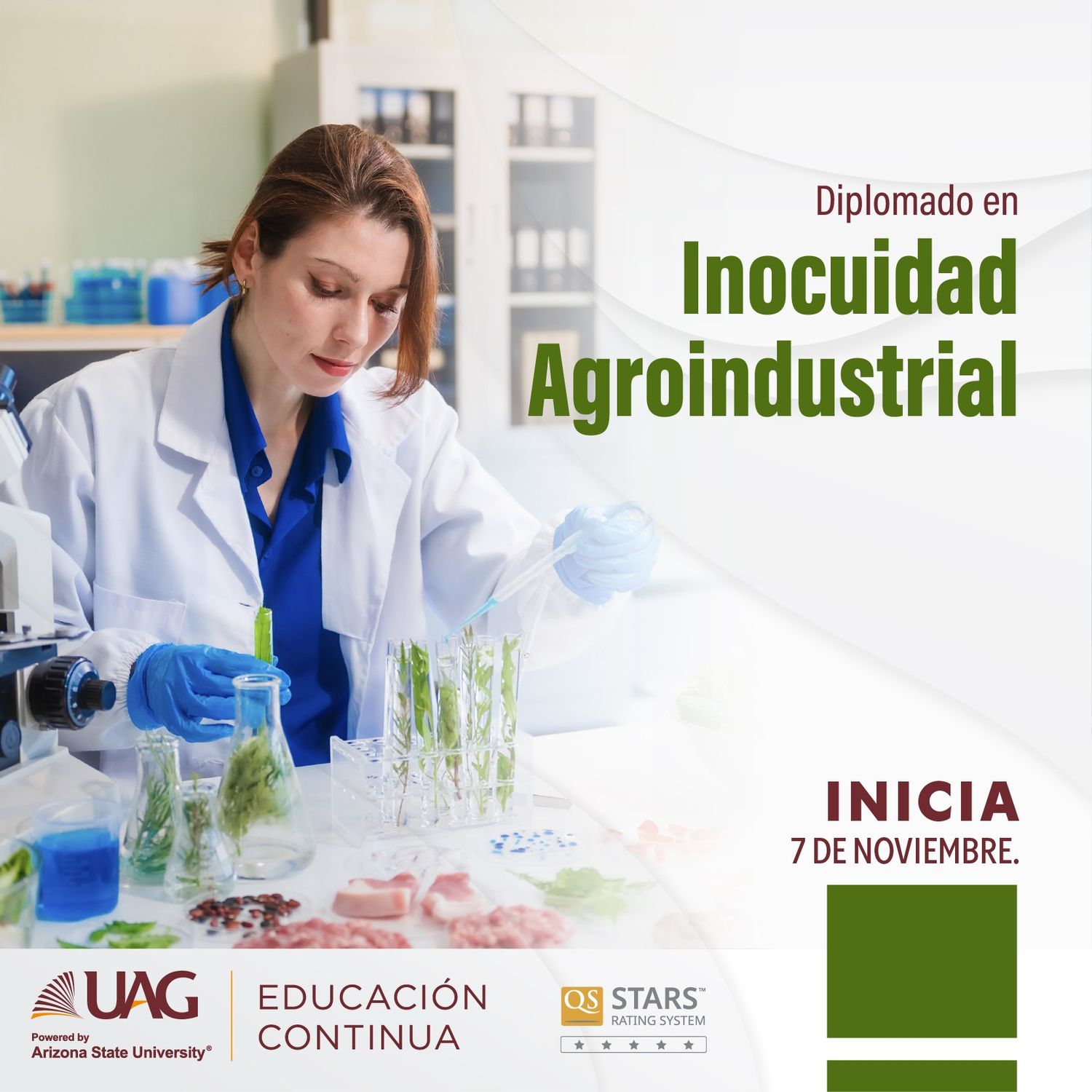 Diplomado en Inocuidad Agroindustrial