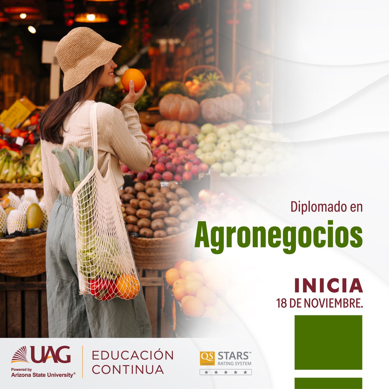 Diplomado en Agronegocios