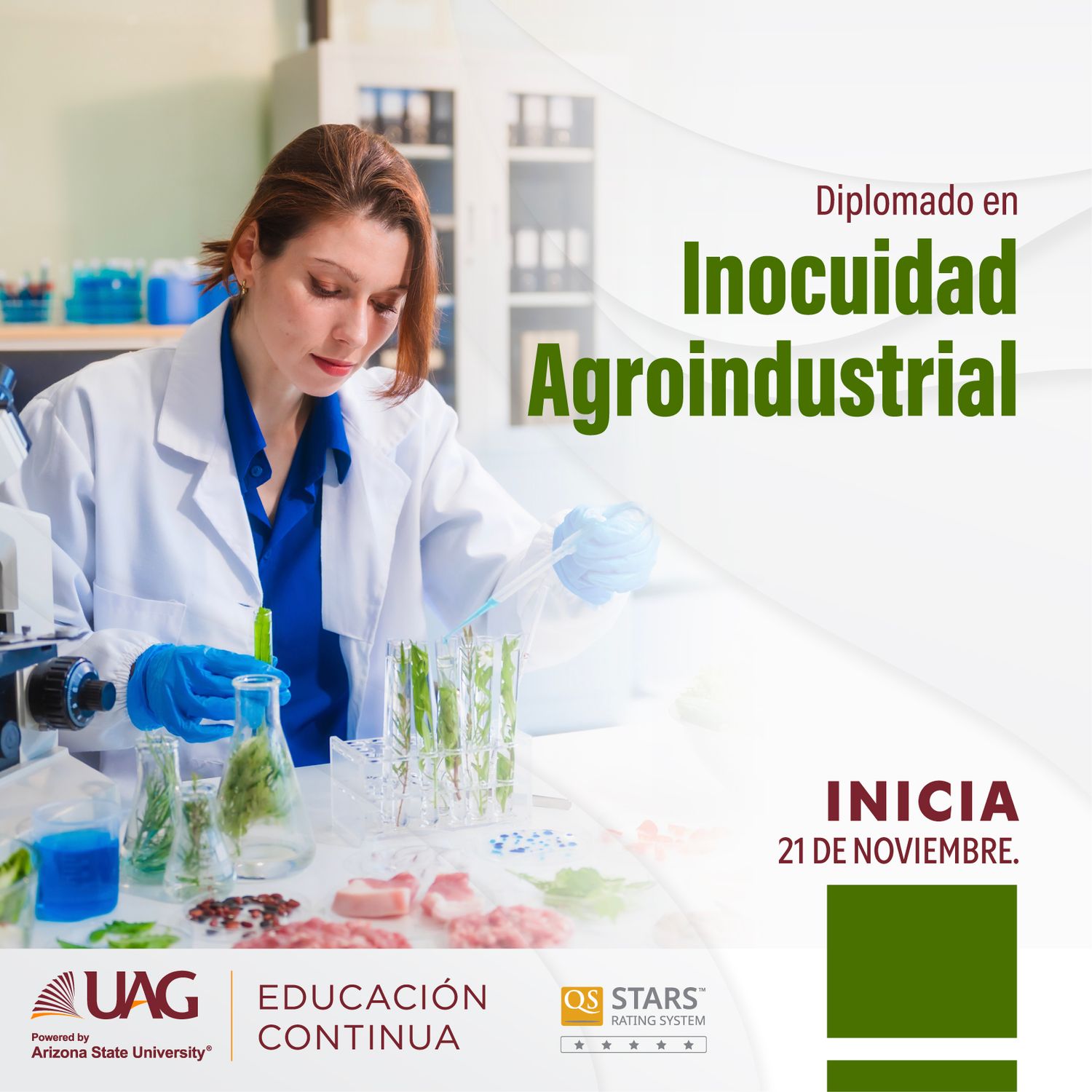 Diplomado en Inocuidad Agroindustrial