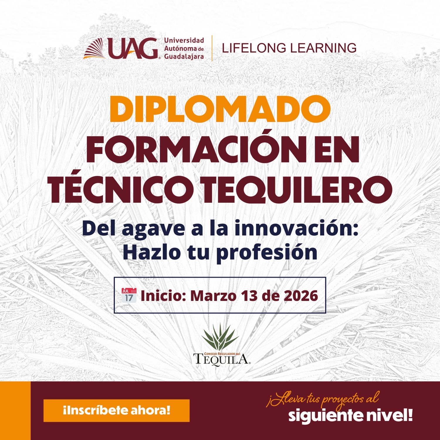 Diplomado en Formación de Técnico Tequilero -HÍBRIDO