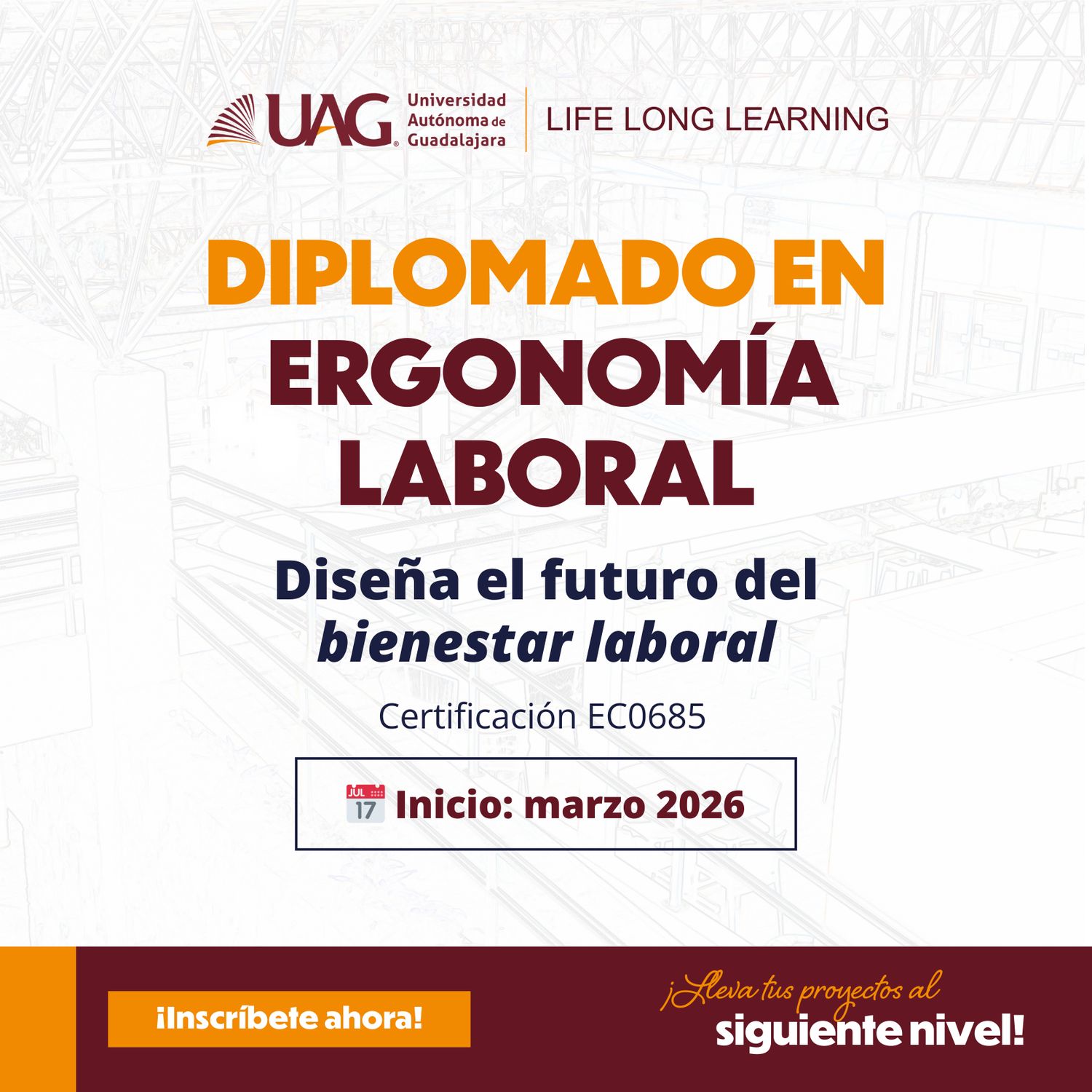 Diplomado en Ergonomía Laboral