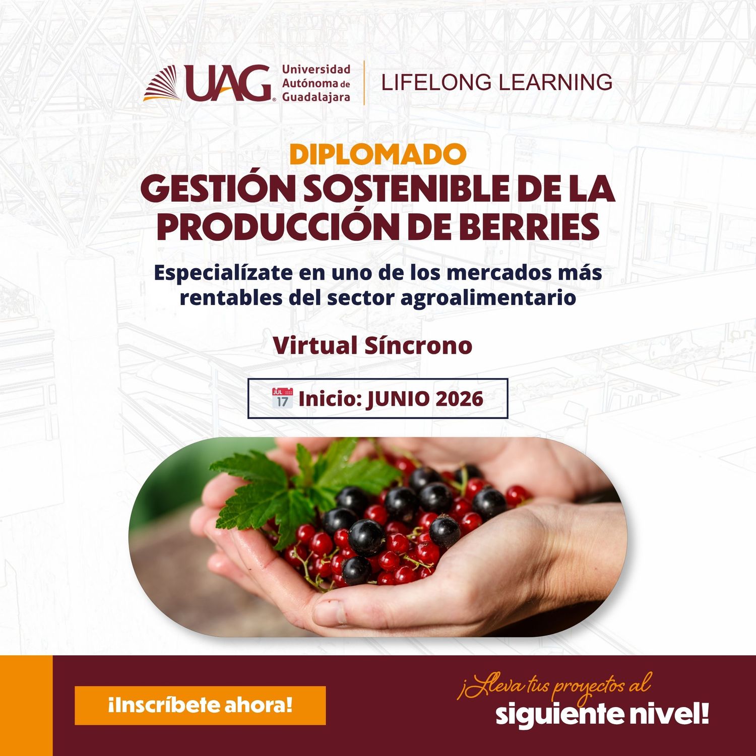 Diplomado en Gestión Sostenible de la Producción de Berries