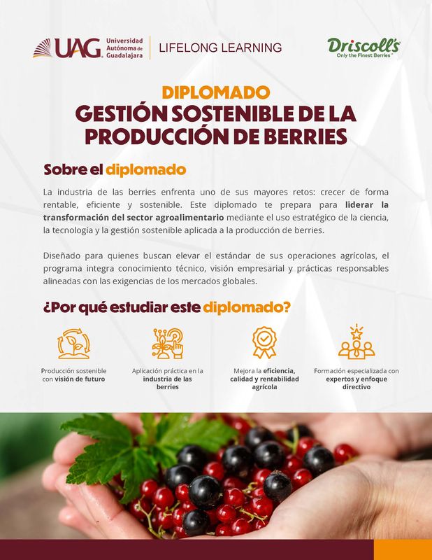 Diplomado en Gestión Sostenible de la Producción de Berries