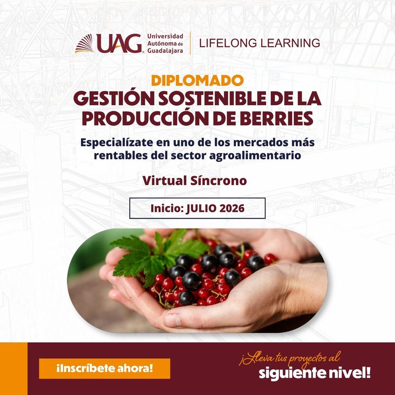 Diplomado en Gestión Sostenible de la Producción de Berries