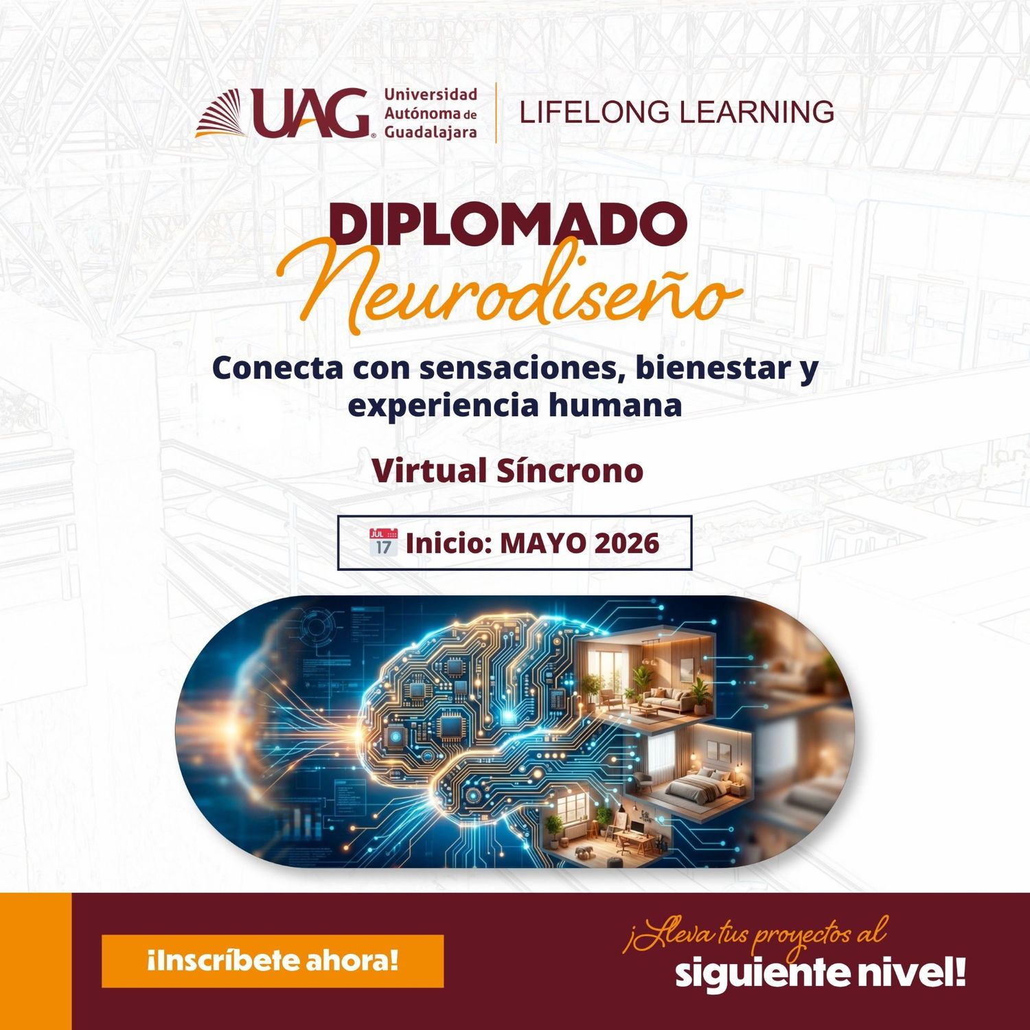 Diplomado Neurodiseño