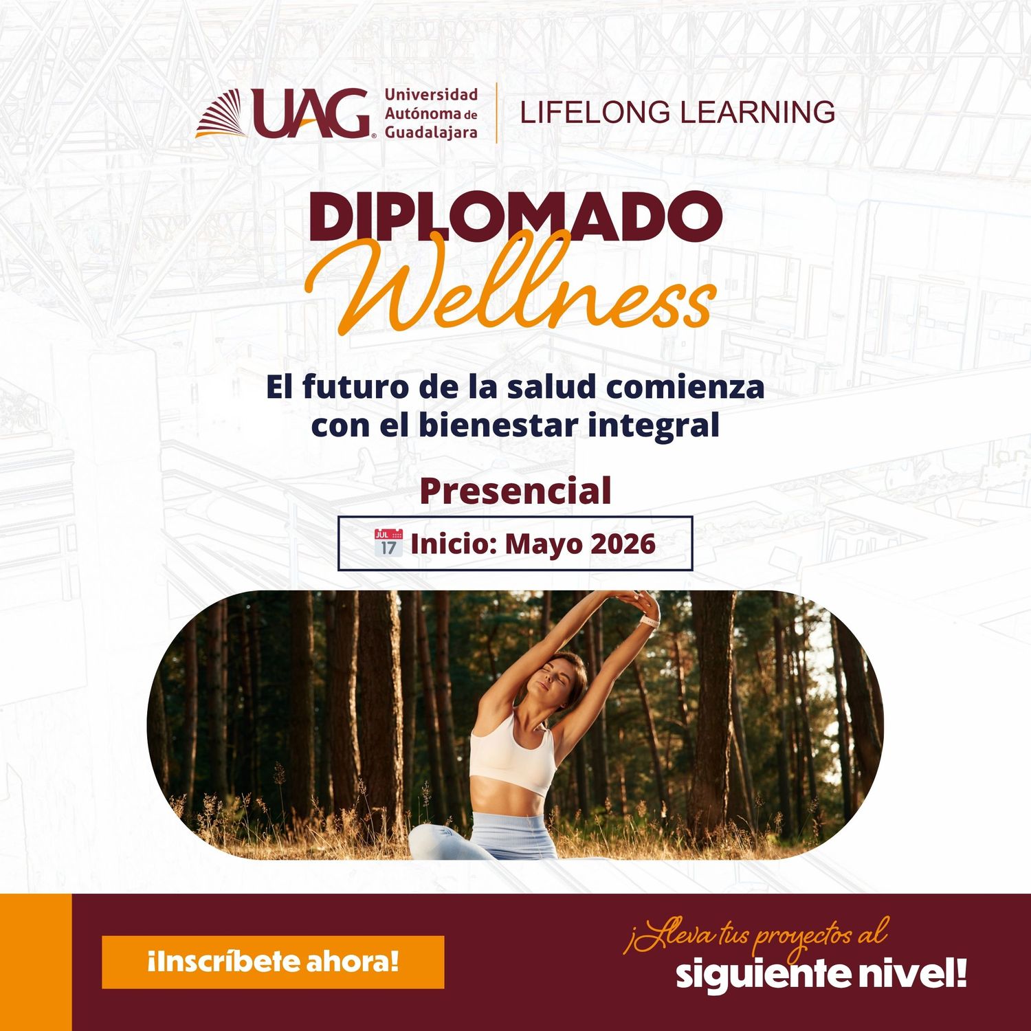 Diplomado en Wellness