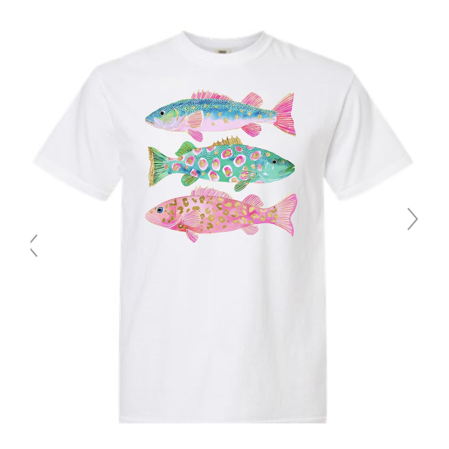 Colorful Fish