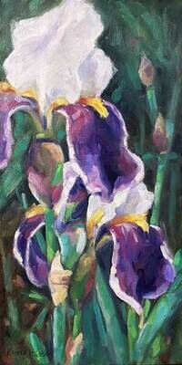 Irises Oil 20x10