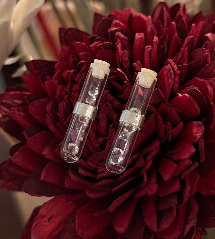Test Tube Stud Earrings with Crystal & Ruby