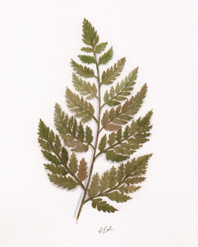 &quot;Rabbit&#39;s Foot Fern&quot; 8x10&quot; Watercolor Framed 12.5x15.5&quot;