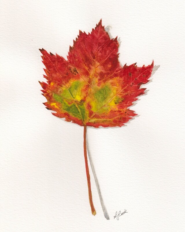 &quot;Maple Leaf&quot; 8x10&quot; Watercolor Framed 15x11.5&quot;