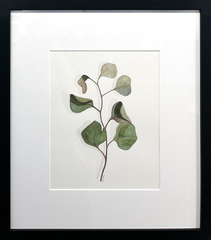 "Silver Dollar Eucalyptus"  8x10" Framed 12.5x15.5" Watercolor