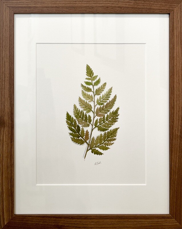 "Rabbit's Foot Fern" 8x10" Watercolor Framed 12.5x15.5"