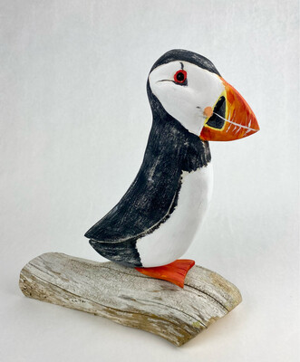 Puffin on Driftwood