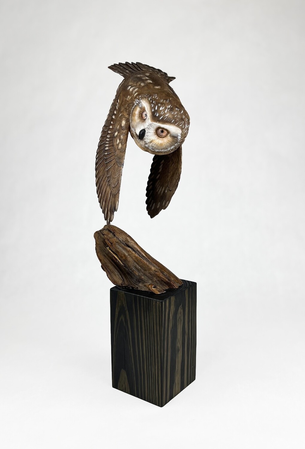 Saw Whet Owl Suspended in Flight Wood Sculpture