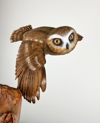 Saw Whet in Flight Hand Carved Wood Sculpture