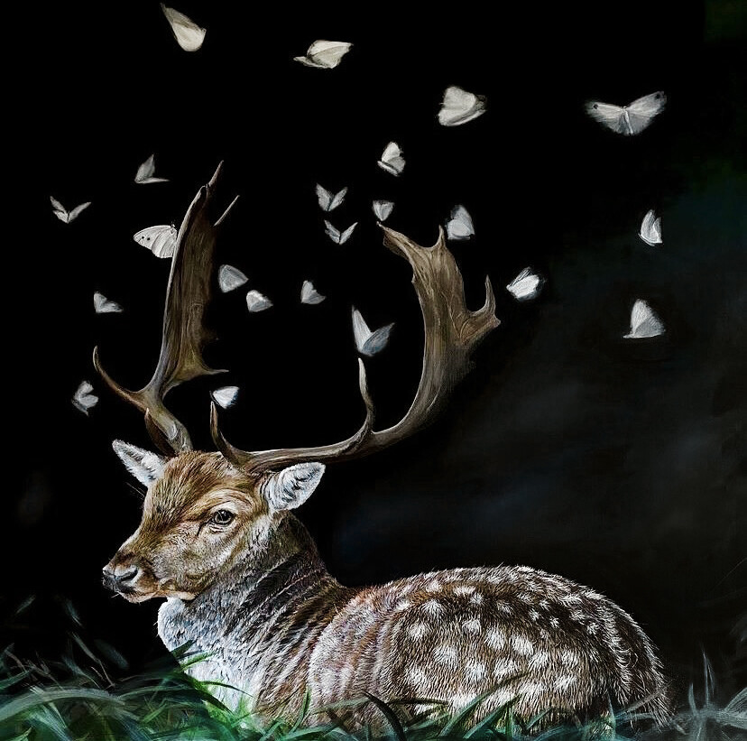 Melissa May Saint John New Brunswick Canada Handworks Canadian Acrylic Painter Realism Deer Elk Moth Evening With Friends