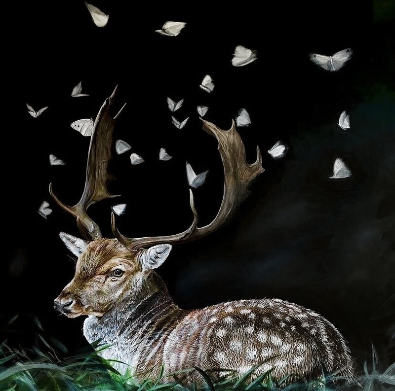 Melissa May Saint John New Brunswick Canada Handworks Canadian Acrylic Painter Realism Deer Elk Moth Evening With Friends